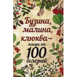 Бузина, малина, клюква - лекари от 100 болезней