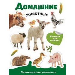 Энциклопедия животных с наклейками. Домашние животные