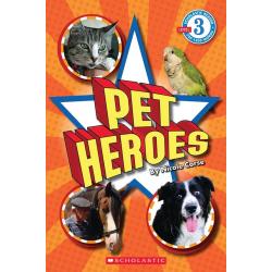 Pet Heroes. Level 3