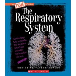 The Respiratory System