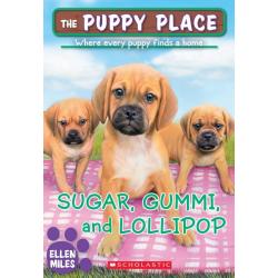 Sugar, Gummi and Lollipop / Miles Ellen