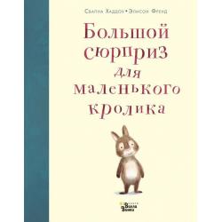 Большой сюрприз для маленького кролика / Хэддоу С., Френд Э.