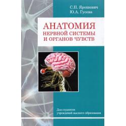 Анатомия нервной системы и органов чувств