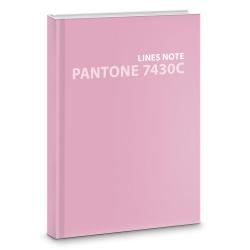 Евротетрадь Pantone line. No. 4, А6+, 80 листов, линия