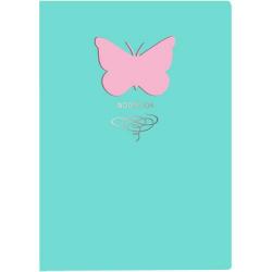 Книга для записей Butterfly. Мятный, А6+, 80 листов, линия