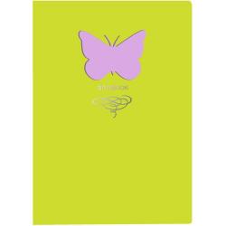 Книга для записей Butterfly. Салатовый, А6+, 80 листов, линия