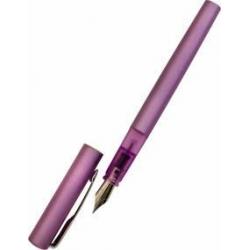 Ручка перьевая Vector XL