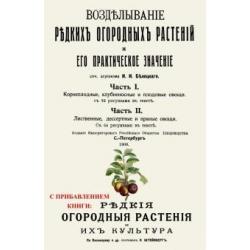 Возделывание редких огородных растений и его практическое значение