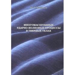 Многомасштабные ударно-волновые процессы в твердых телах