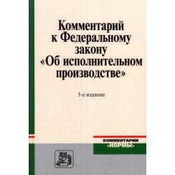 Комментарий к Федеральному закону Об исполнительном производстве