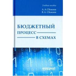 Бюджетный процесс в схемах. Учебное пособие