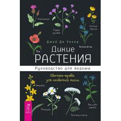 Дикие растения. Руководство для ведьмы. Обычные травы для необычной магии