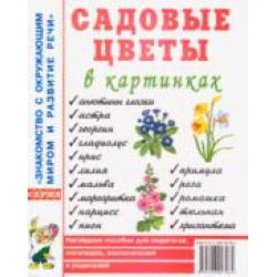 Садовые цветы в картинках наглядное пособие для педагогов, логопедов, воспитателей и родителей