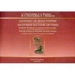 Анатомия костной системы. Рабочая тетрадь к учебному пособию на английском языке