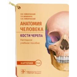 Анатомия человека. Кости черепа. 23 карточки
